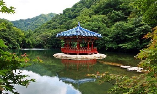 嗓子不好按摩哪些部位-嗓子不好有痰吃什么药、嗓子不好受吃什么药 -嗓子不好能引起心肌炎来吗网